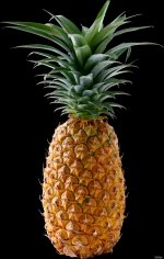 1637951423_53-pro-dachnikov-com-p-ananas-foto-59.jpg