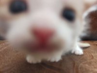 -hA81gea-ZDlV28AeEaHw86iewHqwZad-PExw445RlNdXrYA9DVo1TxaqrL8sypRcvipVnJDiBzgtUExLPFfNSIs.jpg