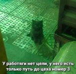 ckOzIJieXs-C1Gqow2Z2Mw4-DmY52vscgiKQLLvFnX-RXbprcgt-S-3oVo_fi14AQRQ4tR0unLXecYADm5Ng_myG.jpg