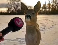 sticker3.jpg sticker3.jpg