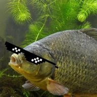karacik_qwq